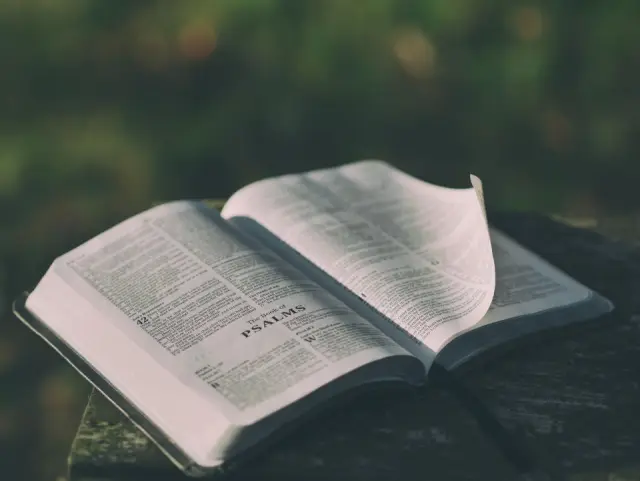 An open book with a turned page resting on a dark cloth